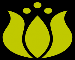 TrioMedia