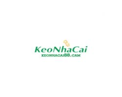 Bất Động Sản